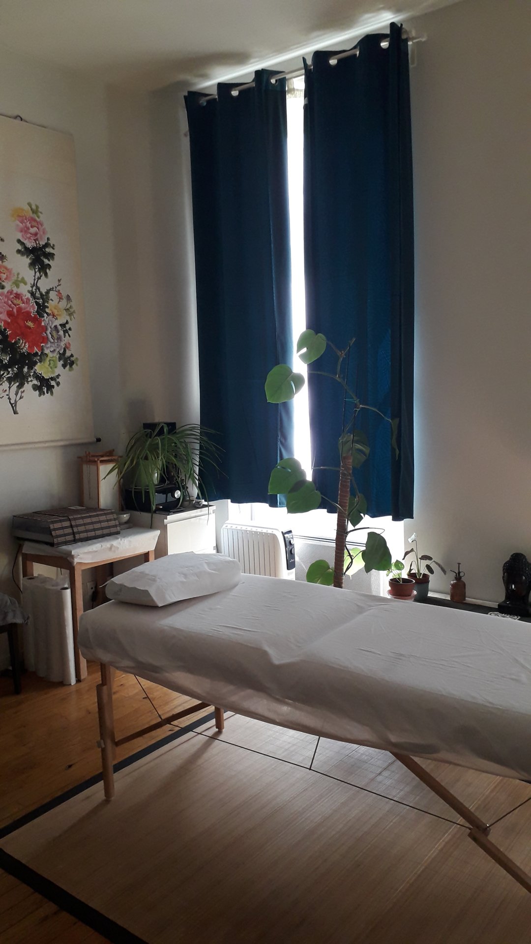 Cabinet d'Éric Littaye à Lyon — table de soin, plantes et lumière douce